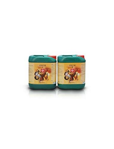 HOUSE & GARDEN COCO A+B 2 X 5L