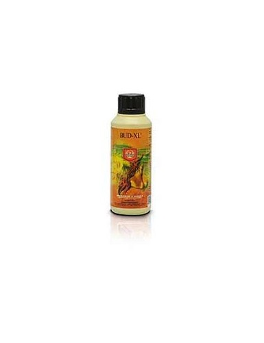 HOUSE & GARDEN BUD XL 250mL