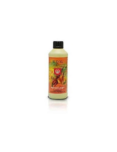 HOUSE & GARDEN BUD XL 500mL