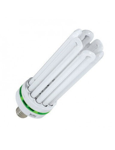 Ampoule CFL 125 W...