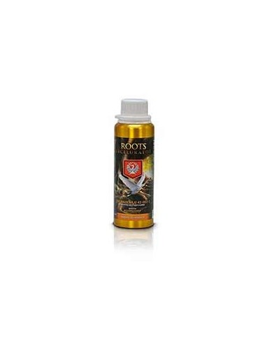 HOUSE & GARDEN ROOTS...