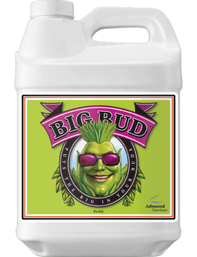 ADN BIG BUD 250 ML