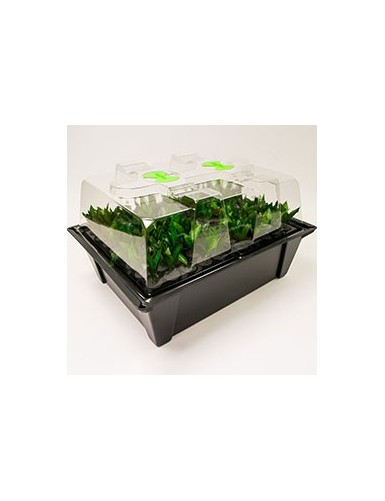 Propagator X-Stream 80...