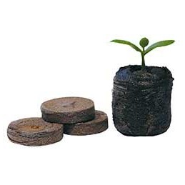 Pastilles de Tourbes 39mm