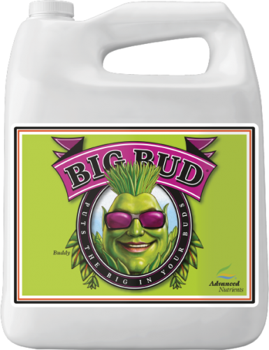 ADN BIG BUD 10L