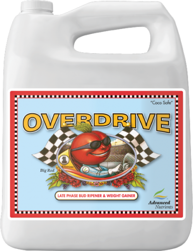 ADN OVERDRIVE 10L