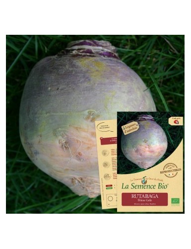 RUTABAGA (CHOU NAVET)...