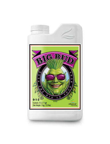 ADN BIG BUD 1L