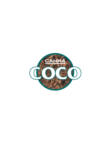 Pack Canna Coco moins de 1m²