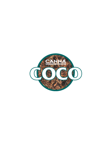 Pack Canna Coco moins de 3m²