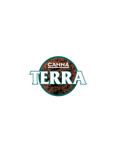 Pack Canna Terra moins de 1m²