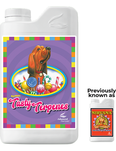 ADN TASTY TERPENES...