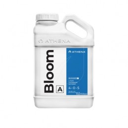 Athena Bloom A&B 3.78L