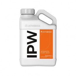 Athena IPW 3.78L
