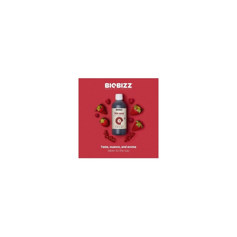 Biobizz Top Max 1L