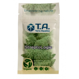 T.A Streptologic 10G