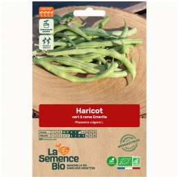 HARICOT vert grimpant Emerite