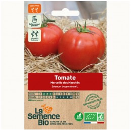 TOMATE merveille des marchés