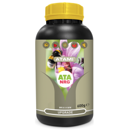 Atami NRG UPGRADE 600g