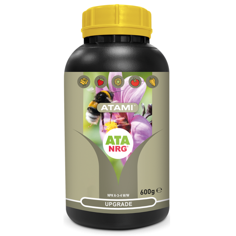 Atami NRG UPGRADE 600g
