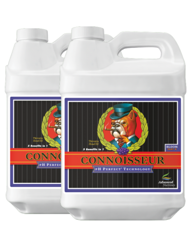 ADN CONNOISSEUR BLOOM A&B...