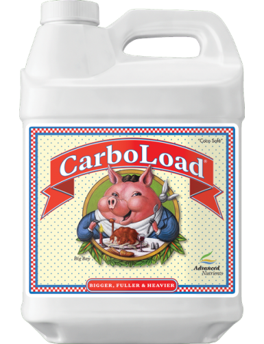 ADN CARBOLOAD 250 ML